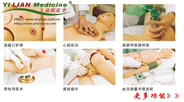 高級成人護(hù)理及CPR模型人