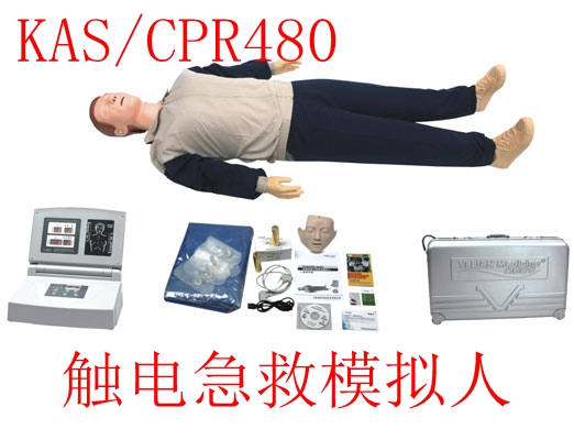 心肺復(fù)蘇模型