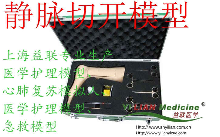 靜脈切開模型