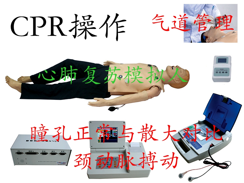 心肺復(fù)蘇模擬人