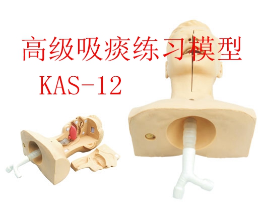 高級吸痰練習(xí)模型