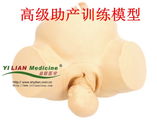 助產(chǎn)訓(xùn)練模型