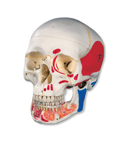 (jng)Bģ͎_Mɫ 3