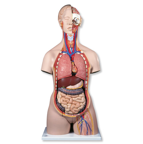 A̓|ģ_(ki)28