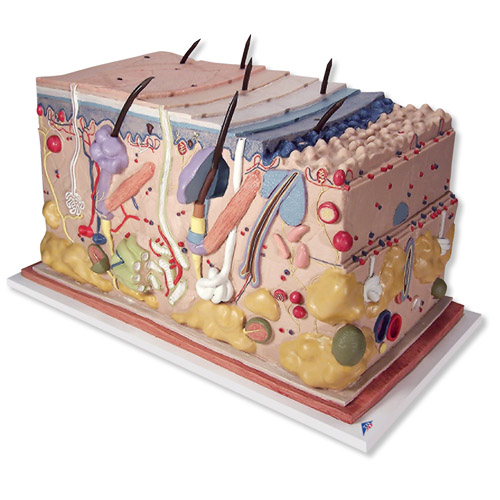 ƤwK ģ(sh)70